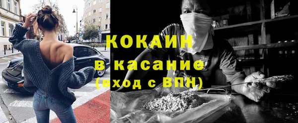 гашик Карпинск