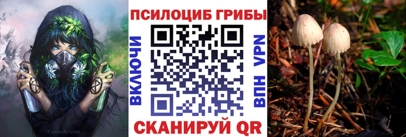 Галлюциногенные грибы GOLDEN TEACHER  Алексин 