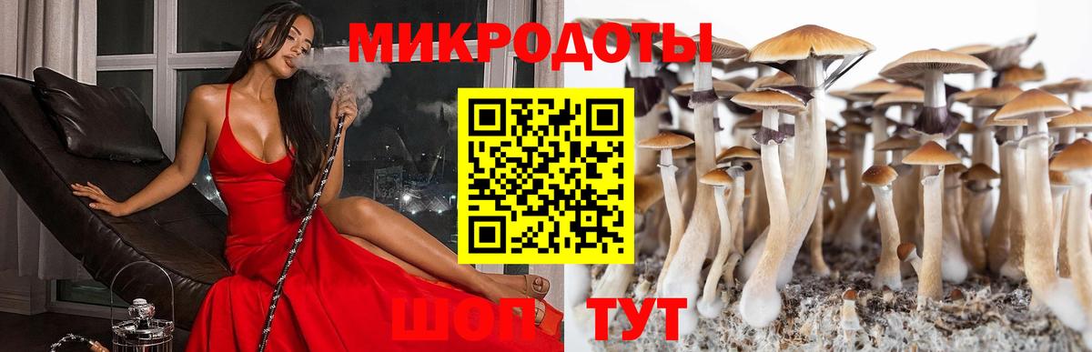 Псилоцибиновые грибы Magic Shrooms  Вход с VPN  Алексин 